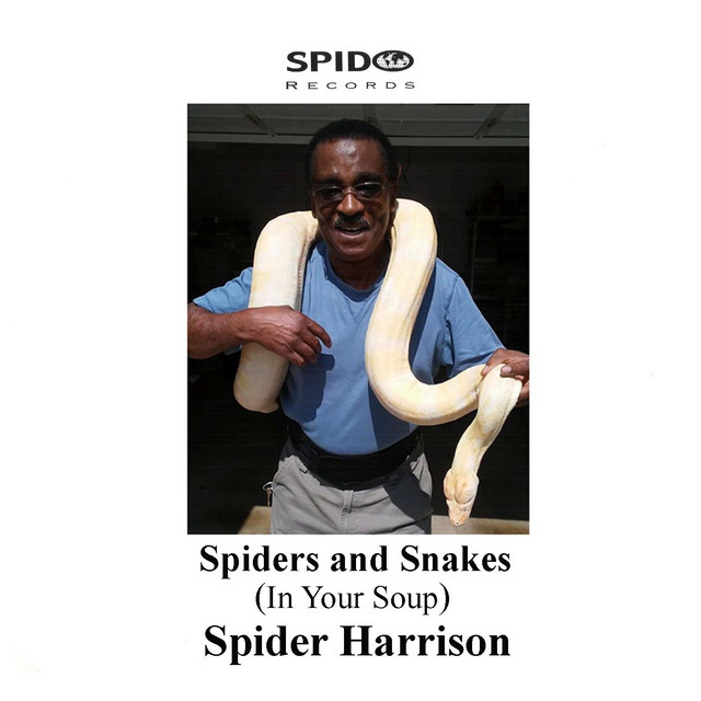 Spiders & Snakes (In Your Soup) cover