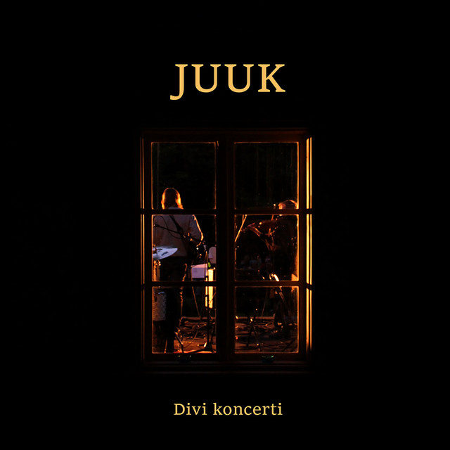 Divi Koncerti cover art