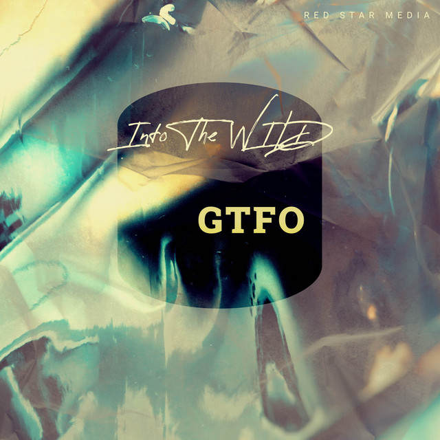 Into The Wild cover art