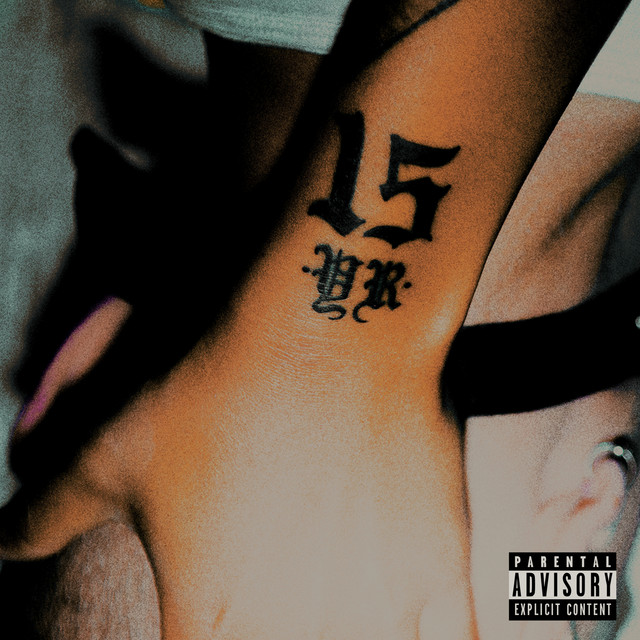 15 cover