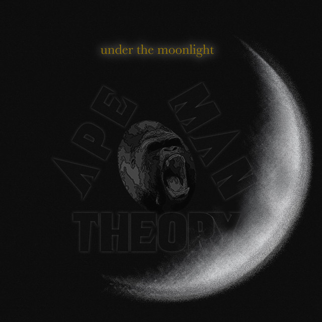 Under The Moonlight