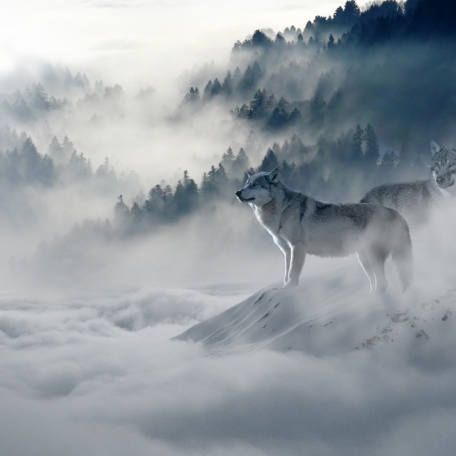 60 Calming Deep Sleep Melodies cover art