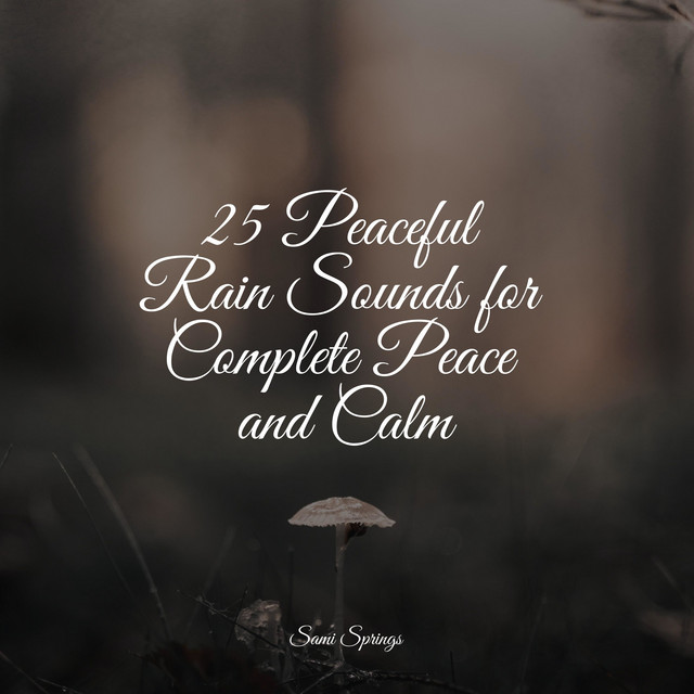 25 Peaceful Rain Sounds for Complete Peace and Calm - Album by Baby ...