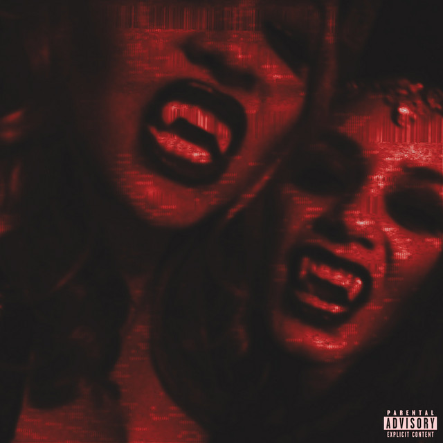 DEMON TWINS cover art