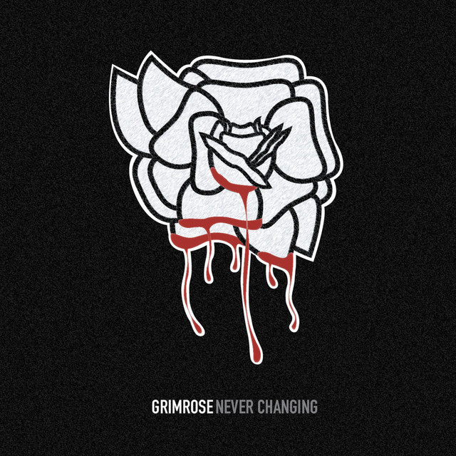 Never Changing cover art