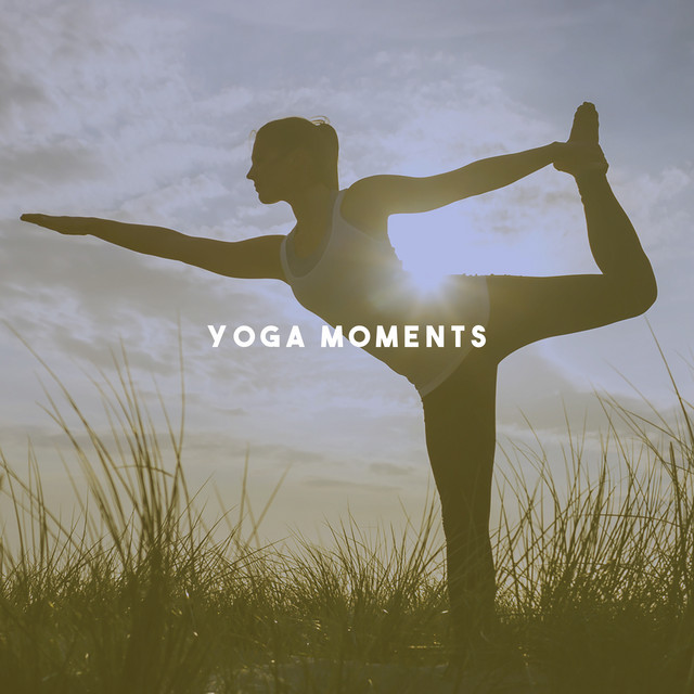 Yoga Moments cover art