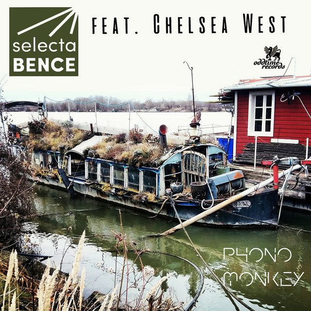 Phono Monkey (Radio Edit) [feat. Chelsea West] cover