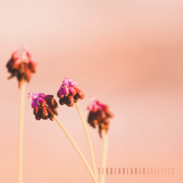 Tenderblades cover art