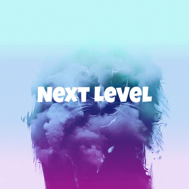 Next Level - Freestyle