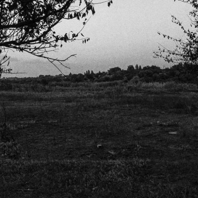 Обкладинка: Цигарки — Літковський.