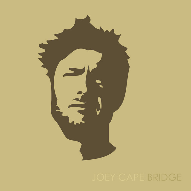 Bridge cover art