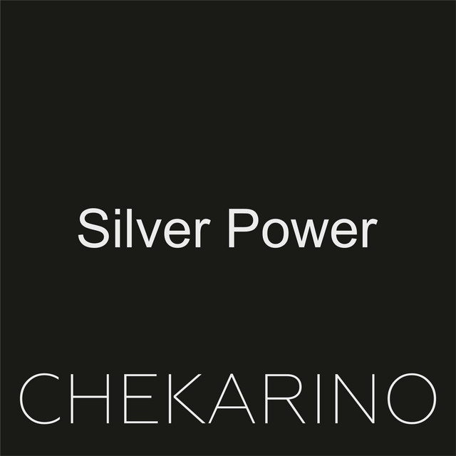 Обкладинка: Silver Power — Chekarino