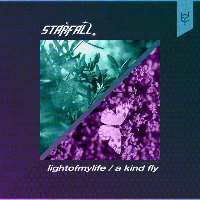 lightofmylife / a kind fly cover art