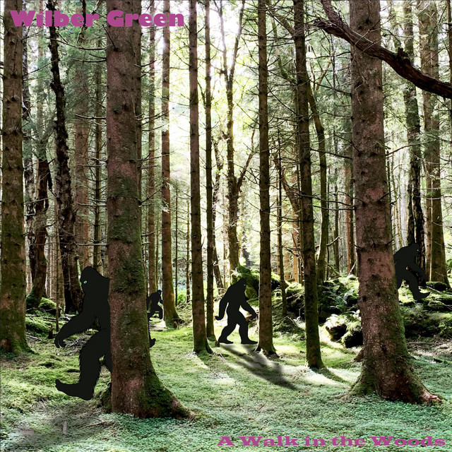 A walk in the woods