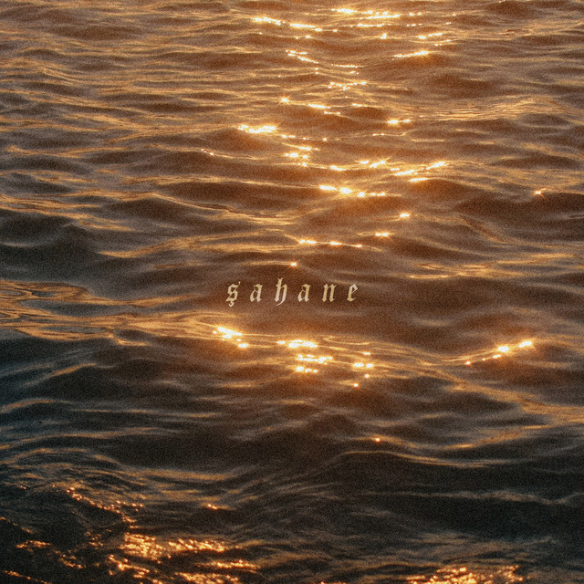 Şahane cover