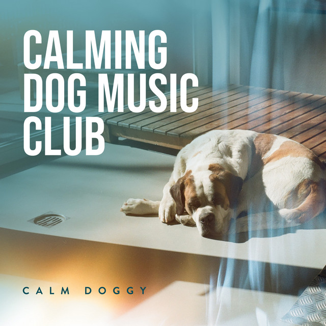 Calming Dog Music Club - Album by Calm Doggy | Spotify