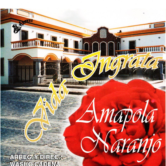 Amapola Naranjo