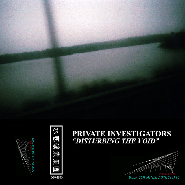 Disturbing the Void cover art