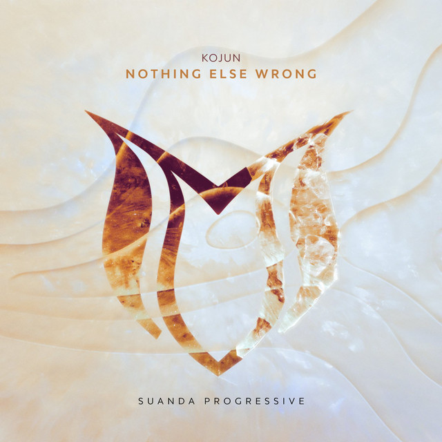 Nothing Else Wrong - Extended Mix album art