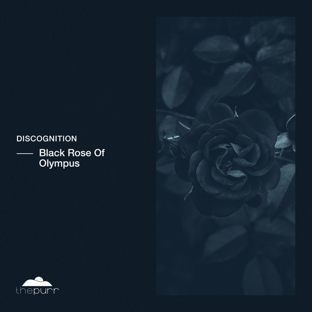 Black Rose Of Olympus album art