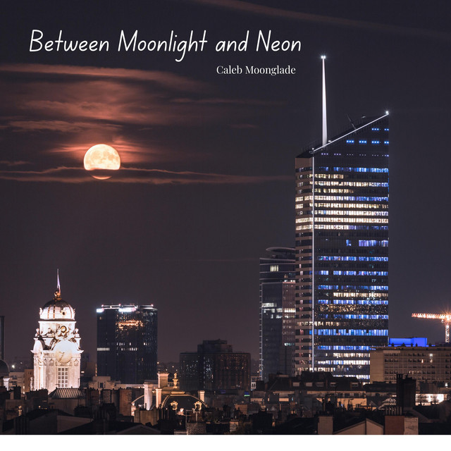 Between Moonlight and Neon