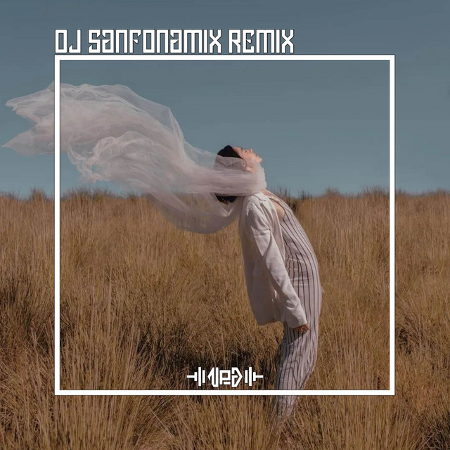 DJ SANFONAMIX REMIX TIKTOK - Single by NP PROJECT | Spotify