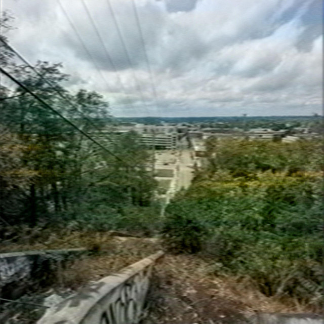 lookout point album image