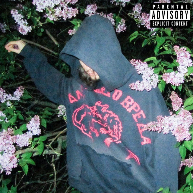 Sorry cover art