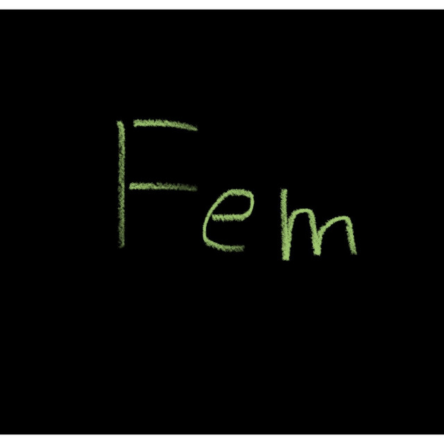 Fem cover art