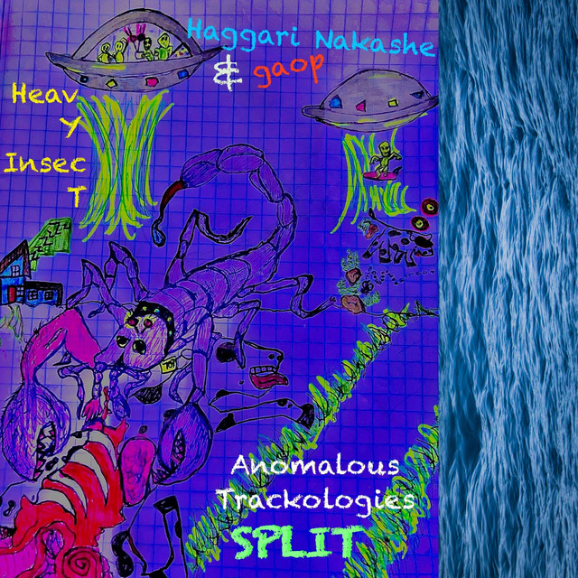 Anomalous Trackologies Split cover art