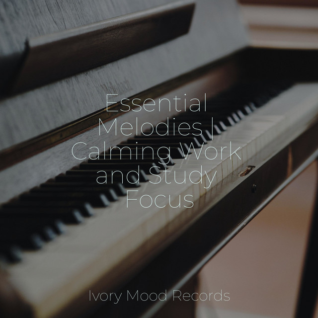 Essential Melodies | Calming Work and Study Focus - Album by SD | Spotify