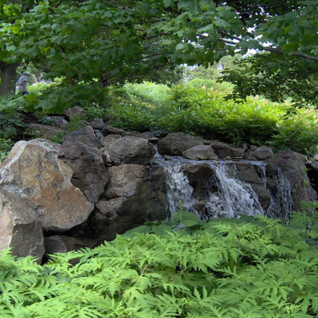 Shallow Road Side Stream