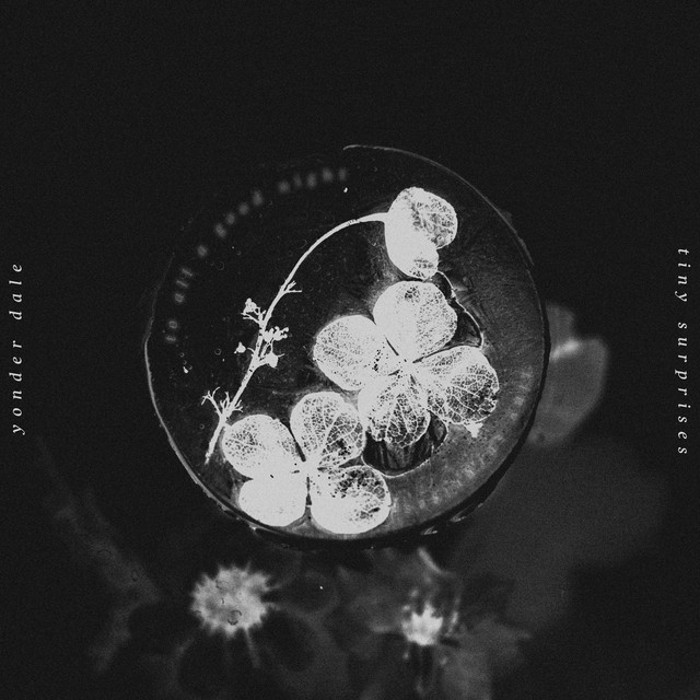 Tiny Suprises by Yonder Dale
