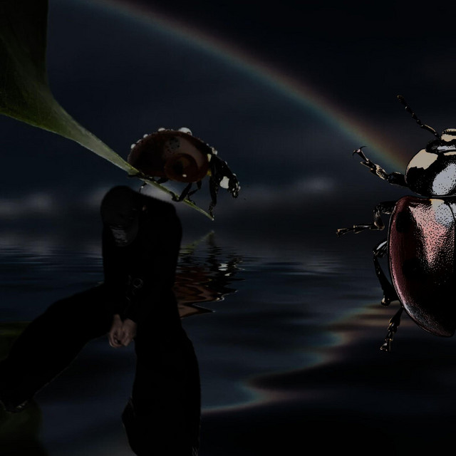ladybugsloveyou cover art