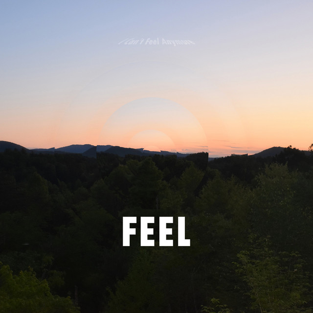 Feel cover art