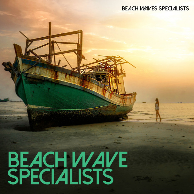 Beach Wave Specialists cover art