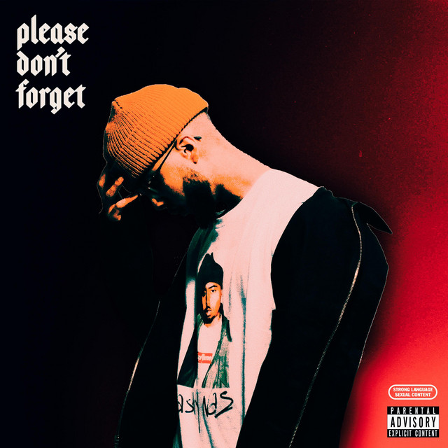 Please Don't Forget cover art