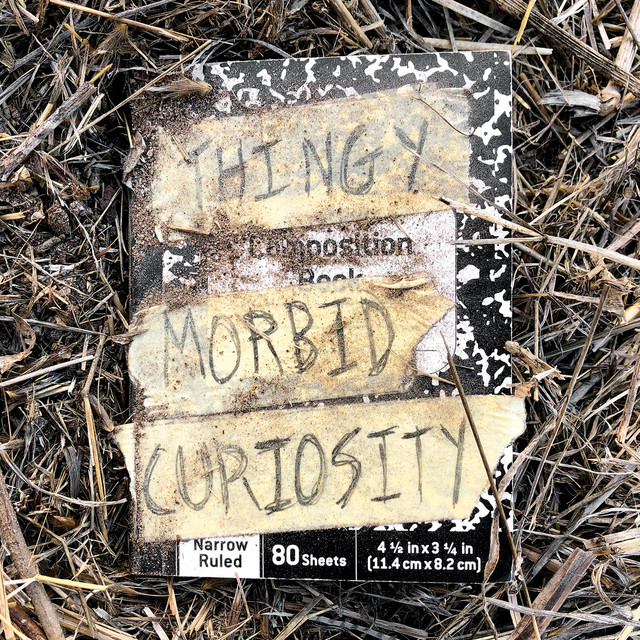 Morbid Curiosity cover art