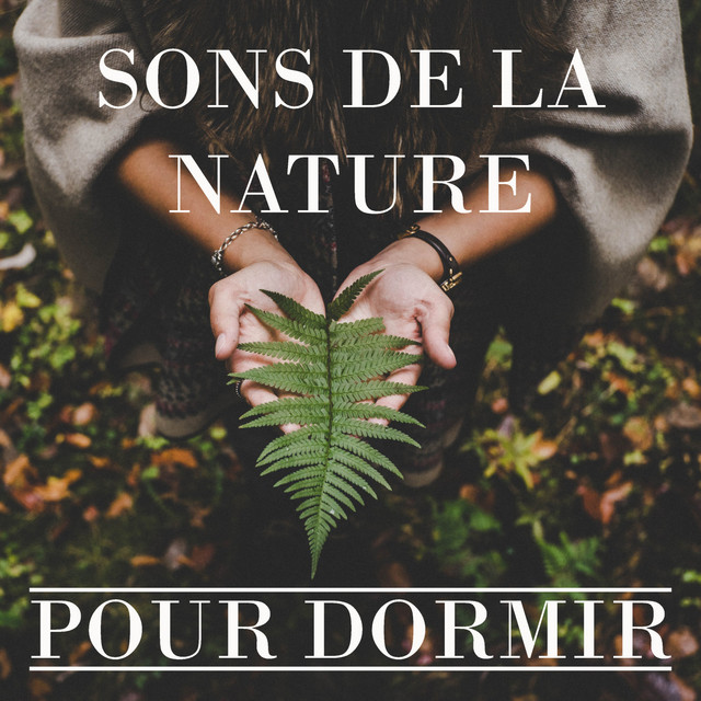 Sons de la Nature Pour Dormir cover art