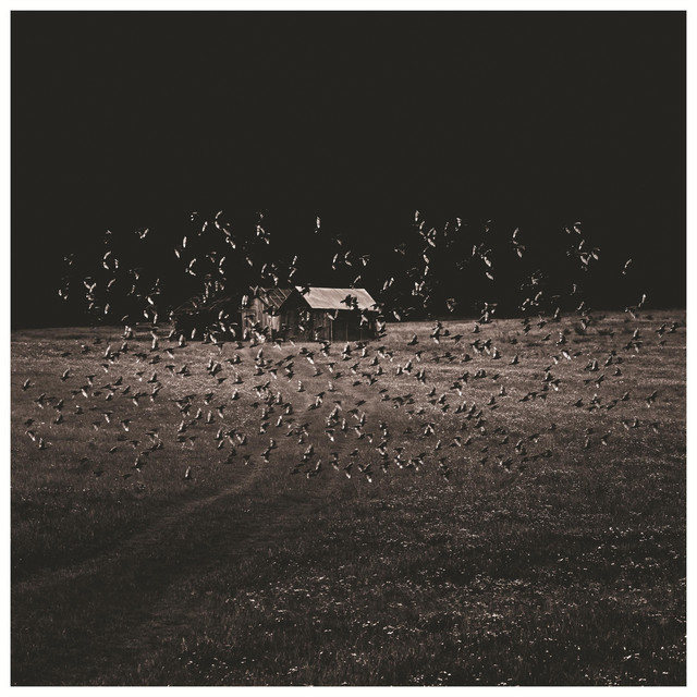 Népdalok cover art