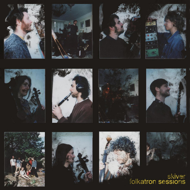 Skiver cover art