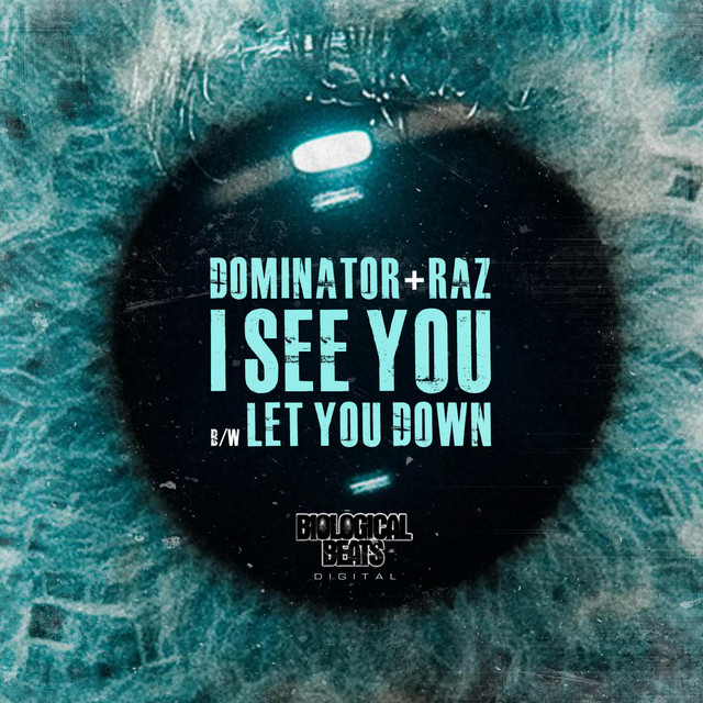 I See You artwork