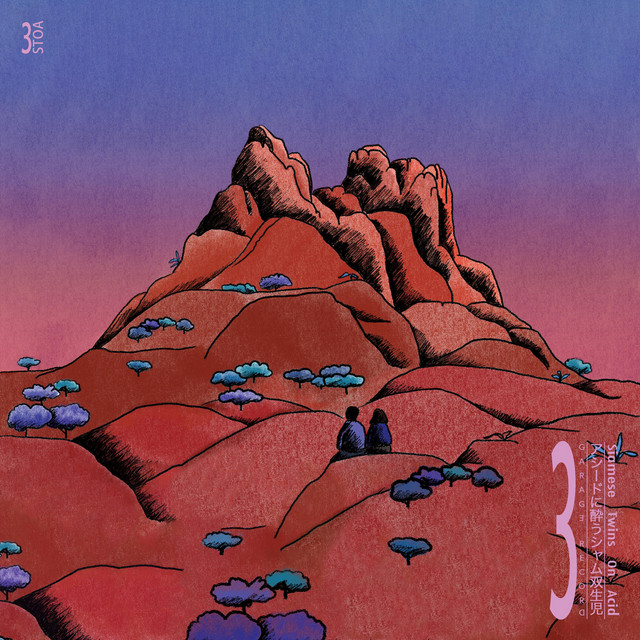 Garage Record #3 cover art