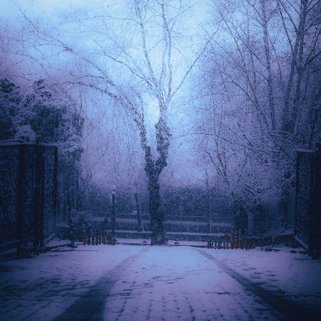 snowfall.mp3