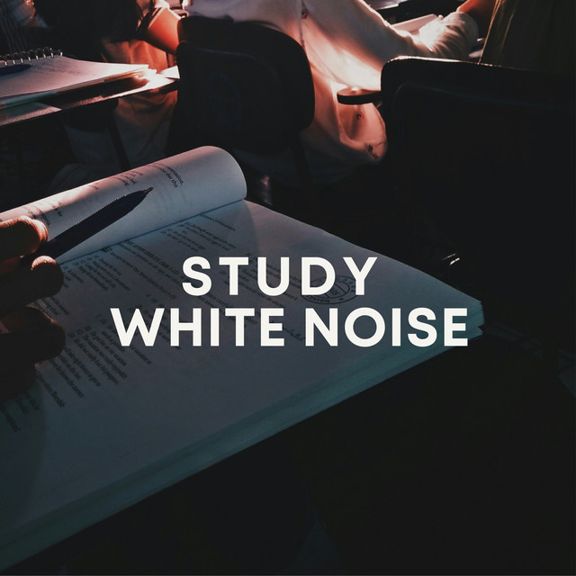 Study White Noise cover art