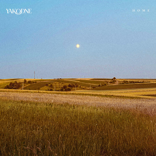 Cover art: My Home Is Light — YAKODNE