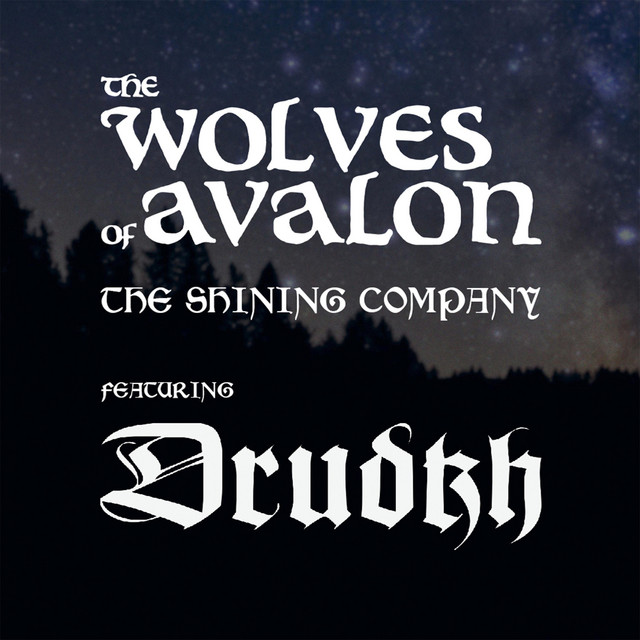 Обкладинка: The shining company — The Wolves of Avalon