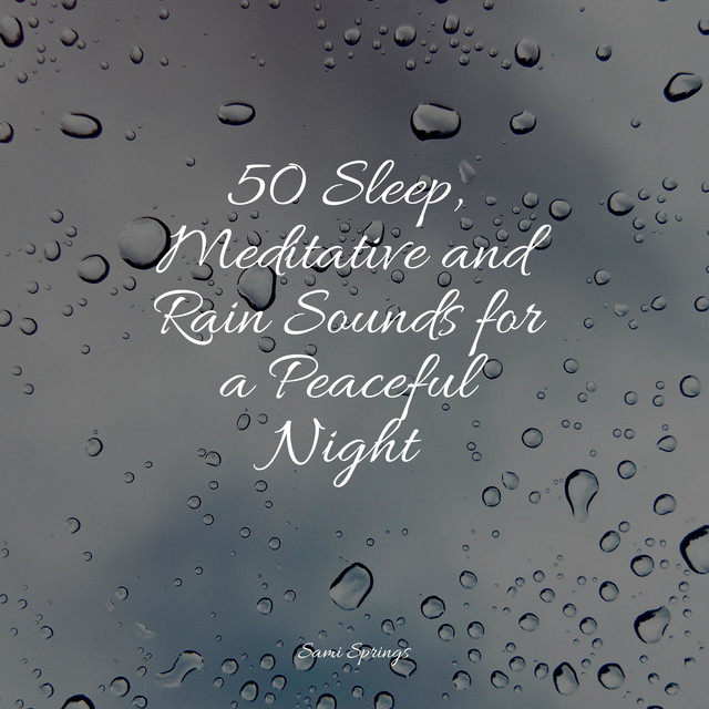 50 Sleep, Meditative and Rain Sounds for a Peaceful Night - Album by ...
