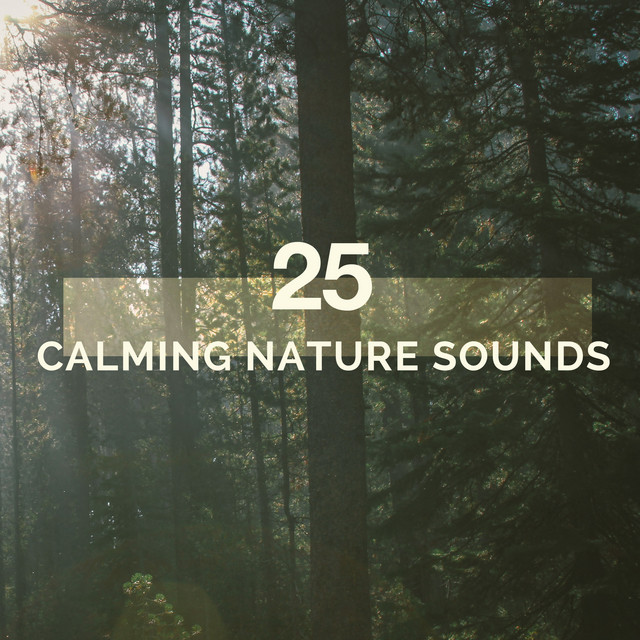 25 Calming Nature Sounds cover art