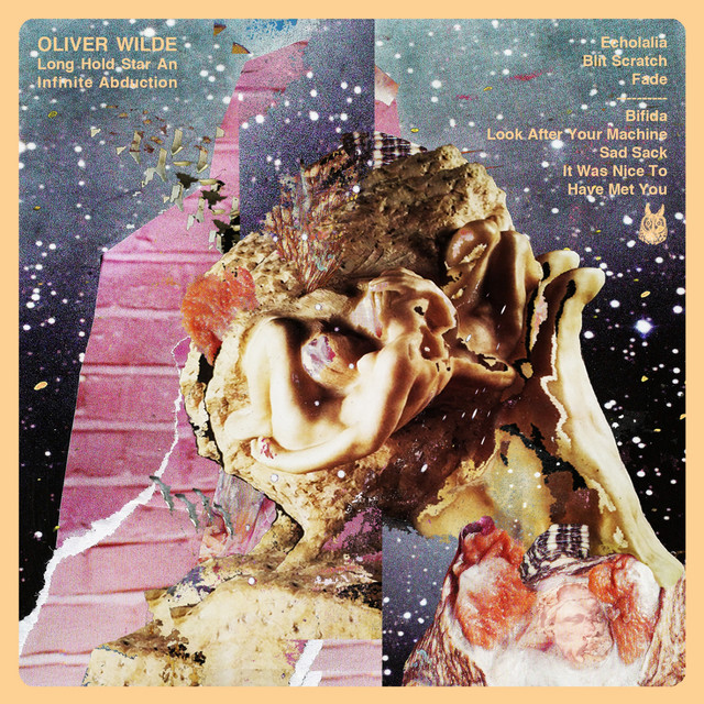Long Hold Star an Infinite Abduction cover art